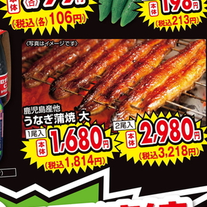 うなぎの蒲焼き