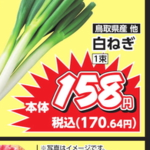 ながねぎ