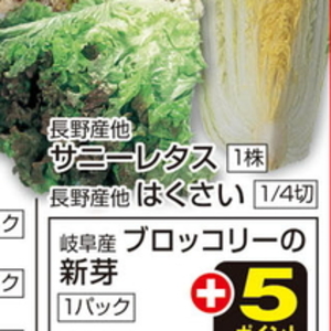 はくさい