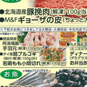 鶏手羽元