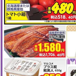 うなぎの蒲焼き