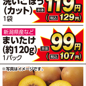 まいたけ