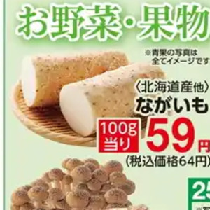 ながいも