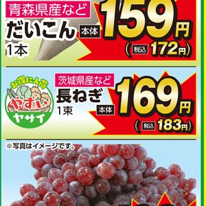ながねぎ