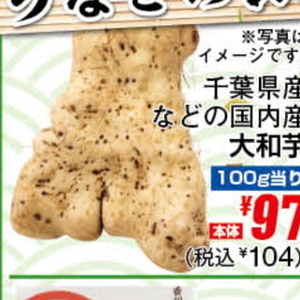やまいも