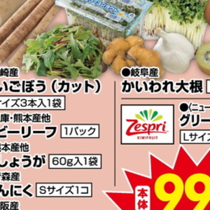 カイワレ大根