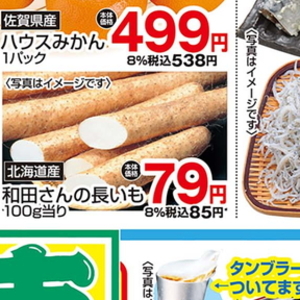 ながいも