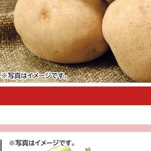 ピーマン
