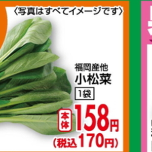 こまつ菜