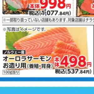 サーモン（さく取り）