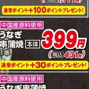 うなぎの蒲焼き