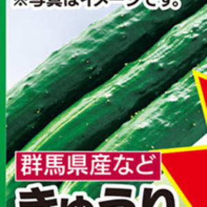 きゅうり