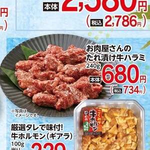 牛肉ハラミ
