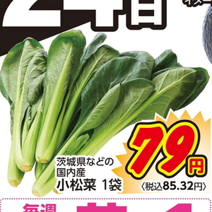 こまつ菜