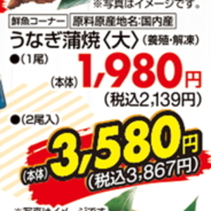 うなぎの蒲焼き