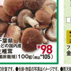 しいたけ