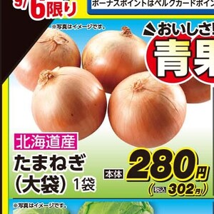 たまねぎ
