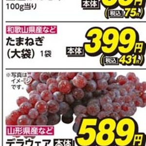 たまねぎ