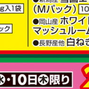 ながねぎ