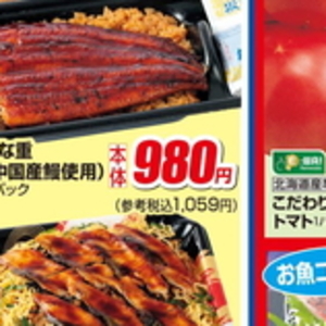 うなぎの蒲焼き