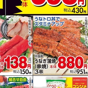 うなぎの蒲焼き