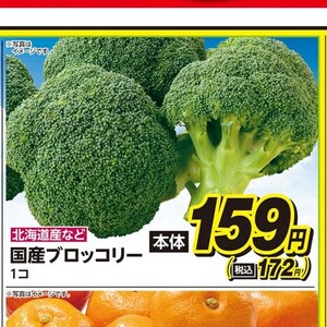 ブロッコリー