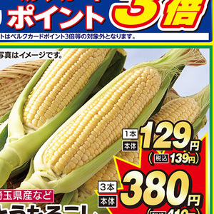とうもろこし
