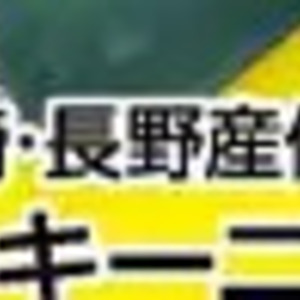 ズッキーニ