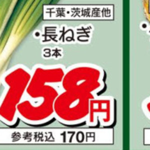 ながねぎ