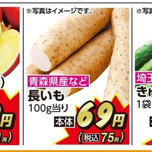 ながいも