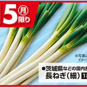 ながねぎ