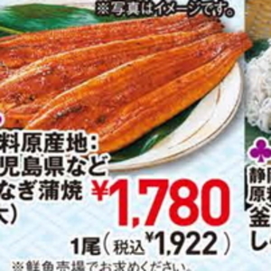 うなぎの蒲焼き