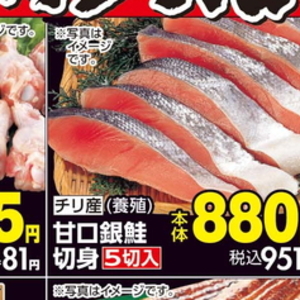 鶏ムネ