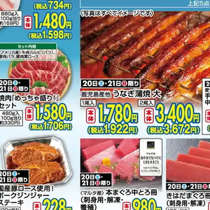 うなぎの蒲焼き