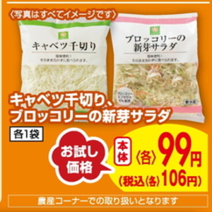 ブロッコリースプラウト