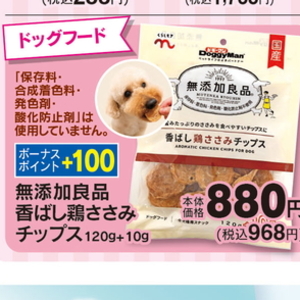 鶏ササミ