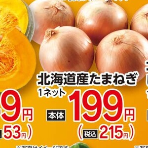 たまねぎ
