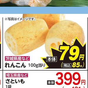 レンコン