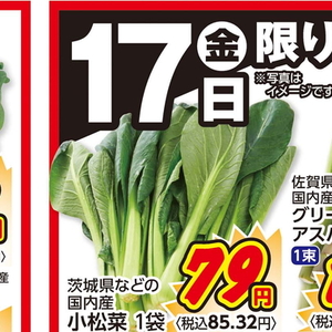 こまつ菜