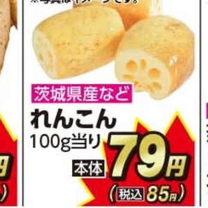レンコン