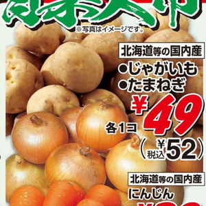 たまねぎ