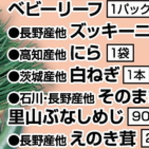 ながねぎ