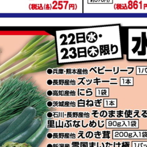 ズッキーニ