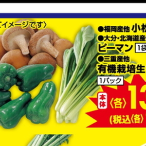 しいたけ