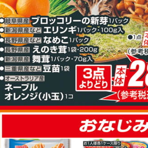 豆苗