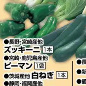 ズッキーニ
