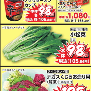 こまつ菜