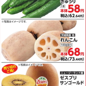 レンコン