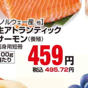 サーモン（さく取り）