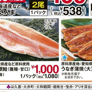 さけ（切り身）